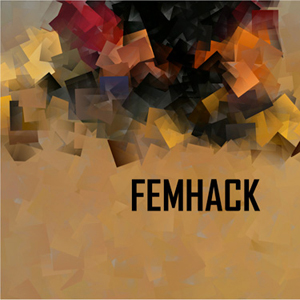 FemHack